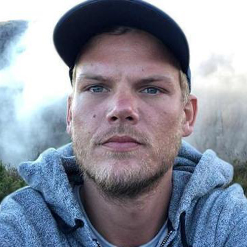 Avicii da adulto